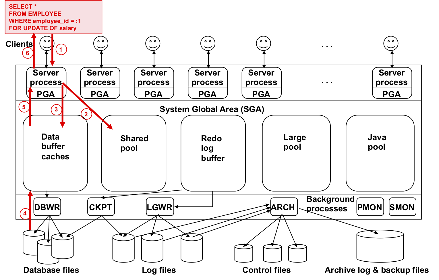 ORM