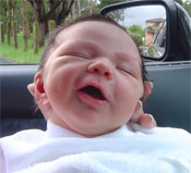 mikey in car
