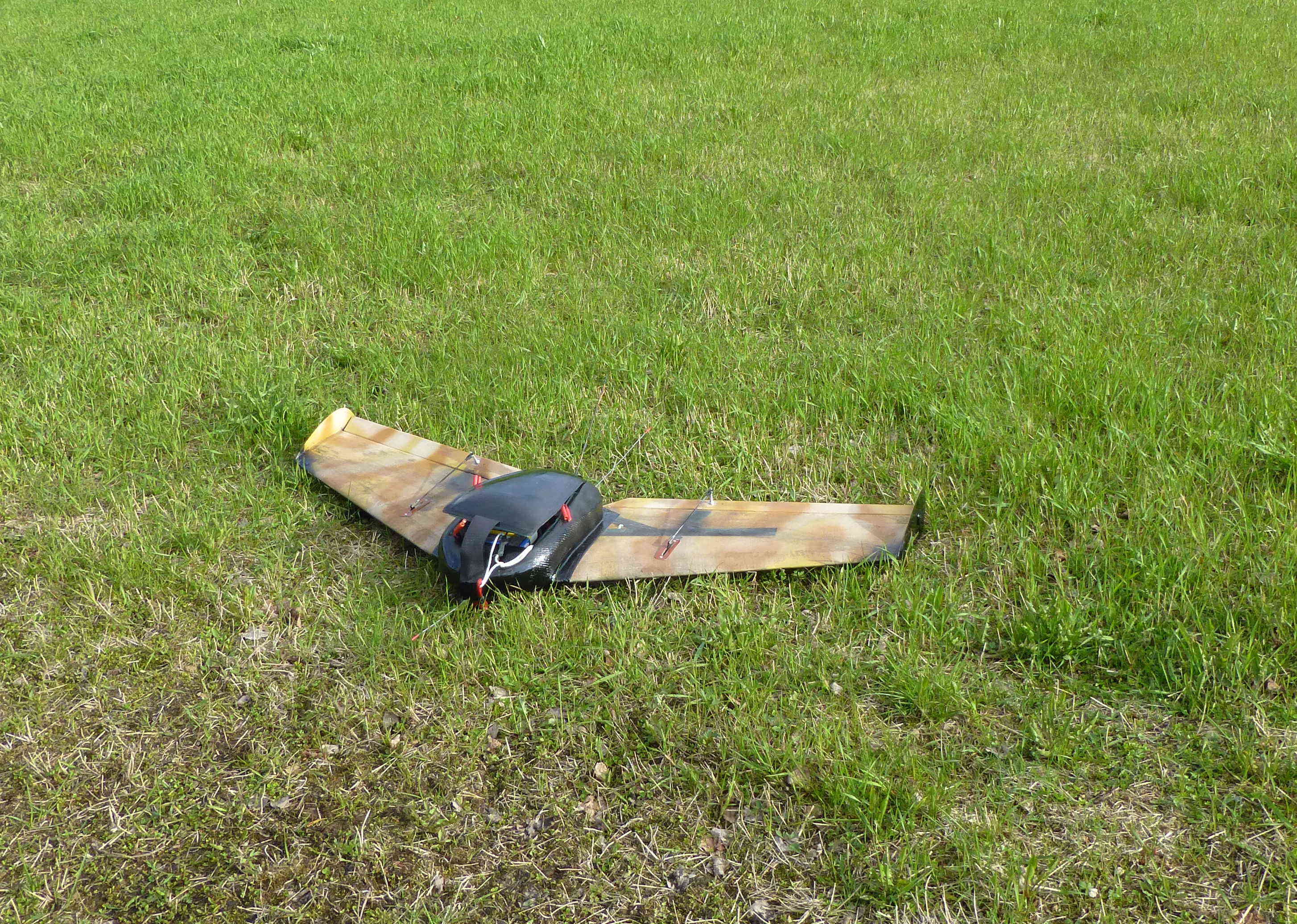 The small Romanian glider