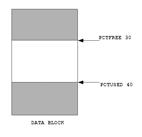 ORM