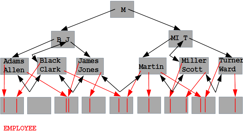 ORM