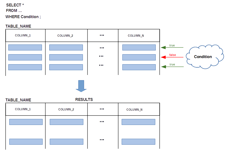 SELECTION
