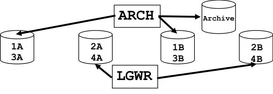 ORM